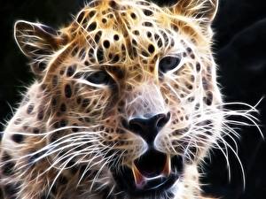 Papel de Parede Desktop Fauve Desenhado Leopardo Animalia