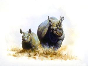 Wallpaper Rhinoceros Animals