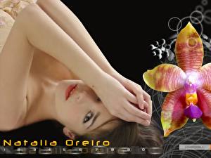 Wallpaper Natalia Oreiro Celebrities