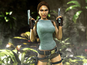 Bureaubladachtergronden Tomb Raider Tomb Raider Anniversary