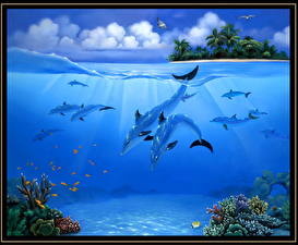 Картинки Дельфины животное