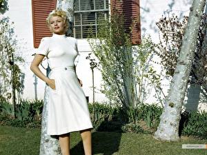 Bakgrunnsbilder Rita Hayworth