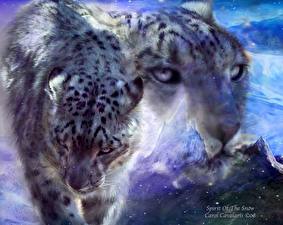 Wallpapers Big cats Painting Art Snow leopards Animals