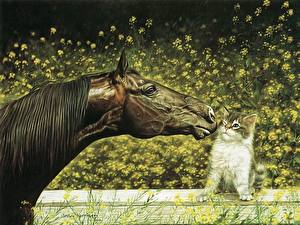 Картинки Лошадь Кошки Рисованные животное