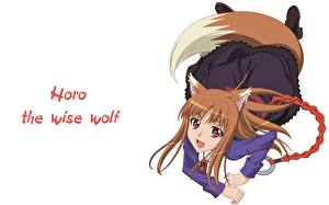 Bakgrundsbilder på skrivbordet Spice and Wolf Anime