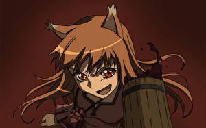 Pictures Spice and Wolf