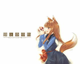 Desktop wallpapers Spice and Wolf Anime