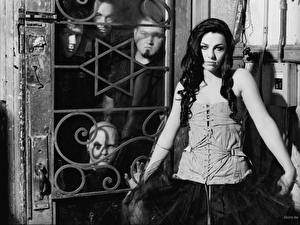 Wallpapers Evanescence
