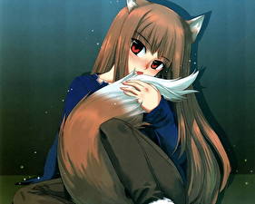 Fotos Spice and Wolf
