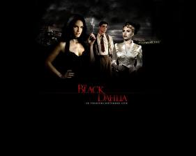 Hintergrundbilder The Black Dahlia
