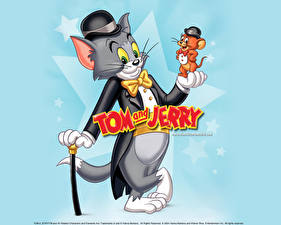 Bakgrundsbilder på skrivbordet Tom och Jerry