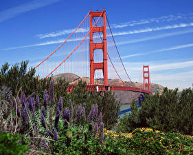 Bakgrundsbilder på skrivbordet Bro USA San Francisco Kalifornien  stad
