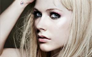 Bureaubladachtergronden Avril Lavigne Muziek