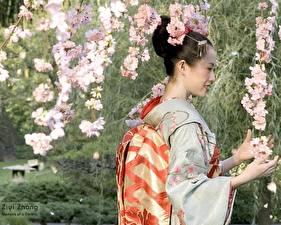 Desktop hintergrundbilder Die Geisha (Film) Film