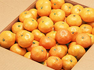 Fotos Obst Zitrusfrüchte Mandarine das Essen