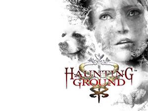 Images Haunting Ground