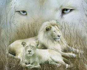 Фотографии Большие кошки Львы Рисованные животное