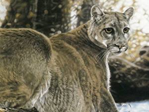 Bakgrundsbilder på skrivbordet Pantherinae Målade Djur