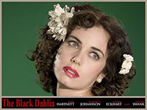 Papel de Parede Desktop The Black Dahlia