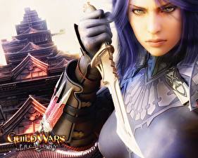 Hintergrundbilder Guild Wars Factions Spiele
