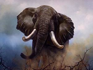 Desktop hintergrundbilder Elefanten ein Tier
