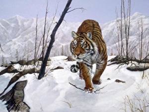 Tapety na pulpit Wielkie koty Tygrys azjatycki Rysowane Zwierzęta
