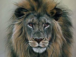 Photo Big cats Lion Painting Art animal