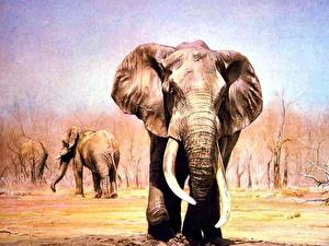 Papel de Parede Desktop Elefante um animal