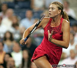 Sfondi desktop Tennis Marija Šarapova Sport