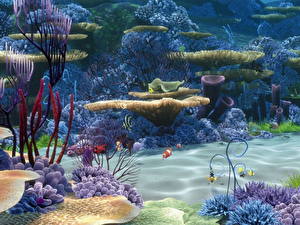 桌面壁纸，，海底世界，珊瑚，動物