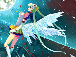 Sfondi desktop Sailor Moon