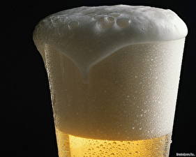 Papel de Parede Desktop Bebidas Cerveja Alimentos
