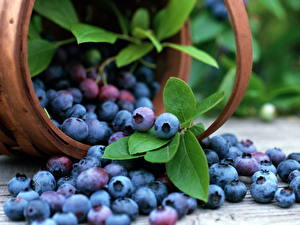 桌面壁纸，，水果，蓝莓，食物