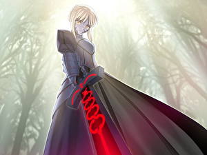 Tapety na pulpit Fate/stay night