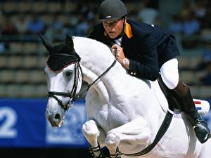 Wallpapers Horses Equestrian sport  Sport