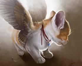 Photo Magical animals Cat Wings Fantasy