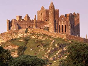 Fotos Burg Irland Ruinen Städte