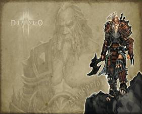 Fonds d'écran Diablo Diablo 3