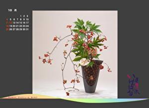 Bilder Ikebana Blüte