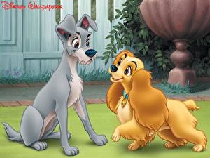 Bilder Disney Susi und Strolch Animationsfilm