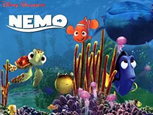 Tapety na pulpit Disney Gdzie jest Nemo?