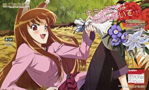 Images Spice and Wolf Anime