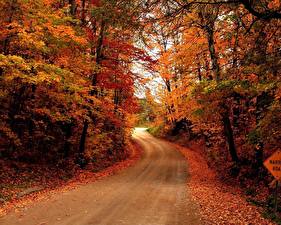 Wallpapers Seasons Autumn Roads Nature