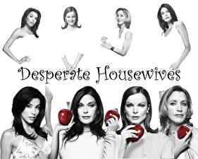 Bakgrundsbilder på skrivbordet Desperate Housewives film