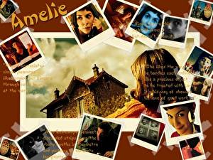 Bilder Die fabelhafte Welt der Amélie