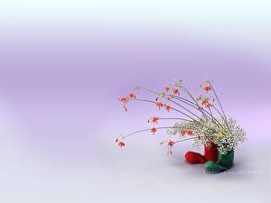 Bakgrundsbilder på skrivbordet Ikebana Blommor
