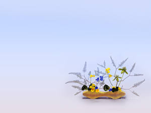 Bakgrunnsbilder Ikebana blomst