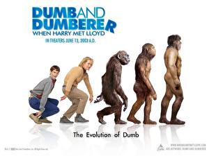 桌面壁纸，，占·基利，Dumb and Dumberer: When Harry Met Lloyd，電影