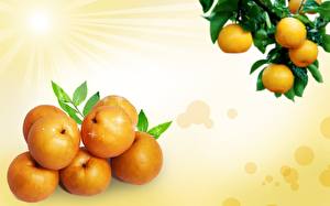 Bakgrunnsbilder Frukt Sitrusfrukter Appelsin Mat