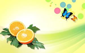 Fonds d'écran Fruits Agrumes Orange fruit Nourriture